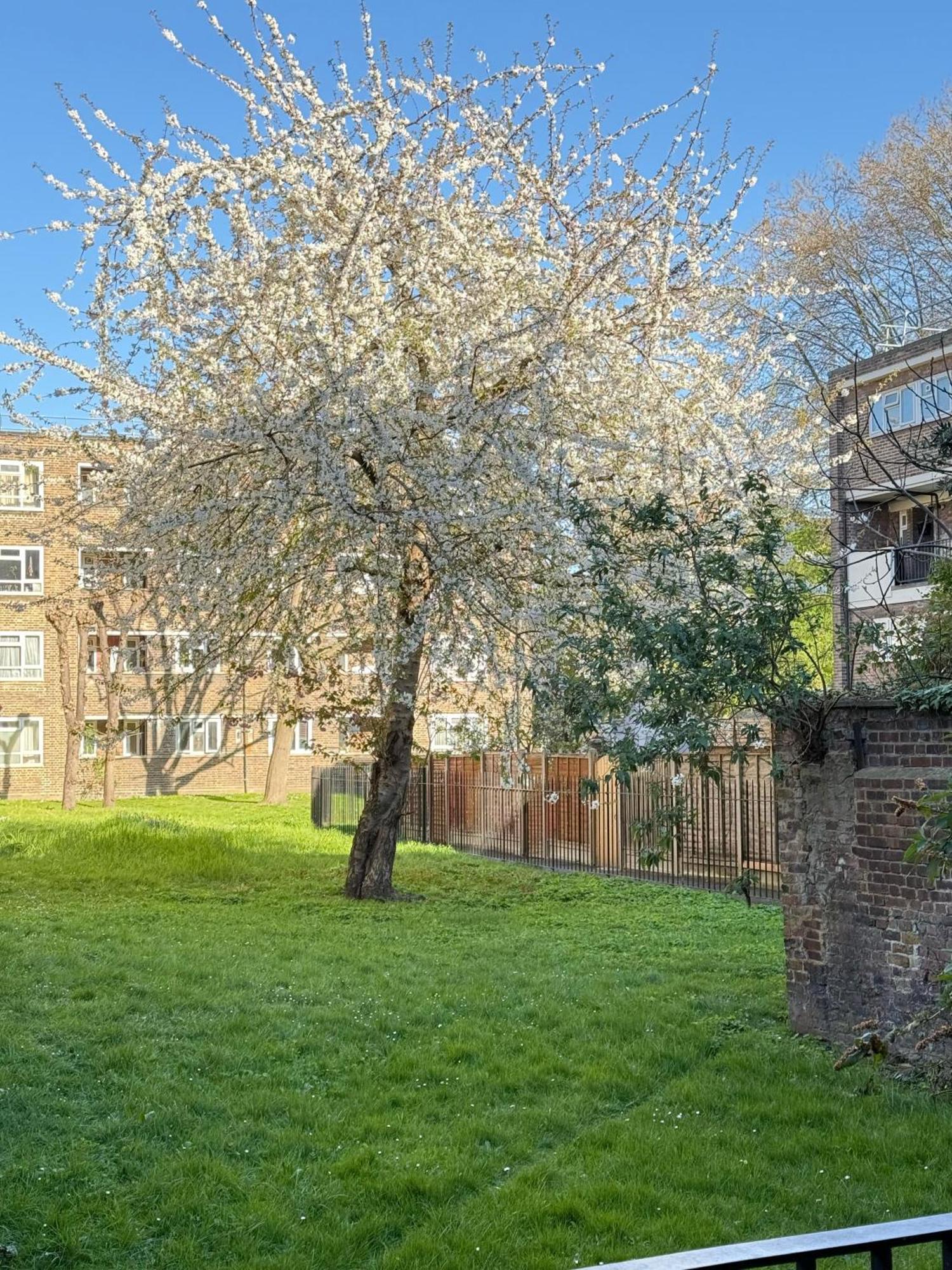 Shoreditch Apartments By Dc London Rooms Værelse billede